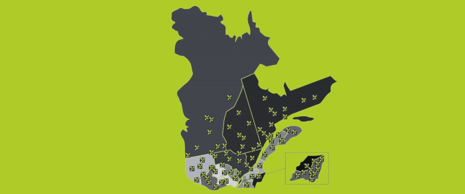Nouvelle série : Les coulisses de la pharmacie